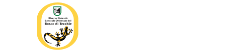 Riserva Naturale Orientata del Bosco di Tecchie